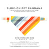 Pet Bandana - "Carousel" - Striped Rainbow Bandana for Cat + Small Dog / Summer, Birthday, LGBTQ / Slide-on Bandana / Over-the-Collar (One Size)