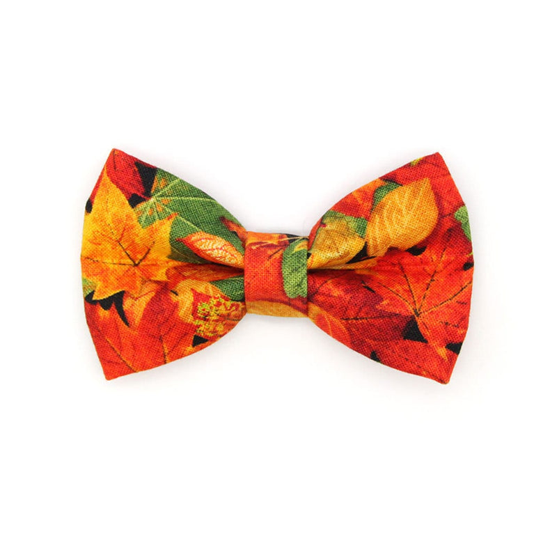 Pet Bow Tie - "Forever Fall" - Autumn Leaves Cat Bow Tie / For Cats + Small Dogs (One Size)