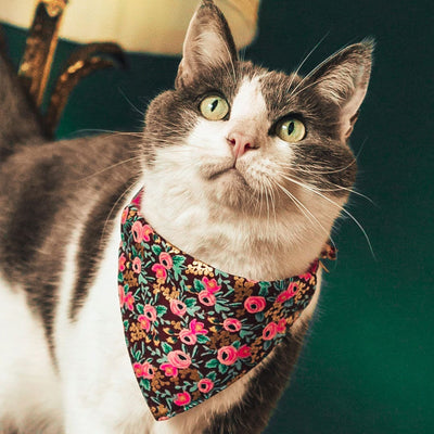 Pet Bandana - "Mulberry" - Rifle Paper Co® Burgundy Wine Floral Bandana for Cat + Small Dog / Slide-on Bandana / Over-the-Collar (One Size)