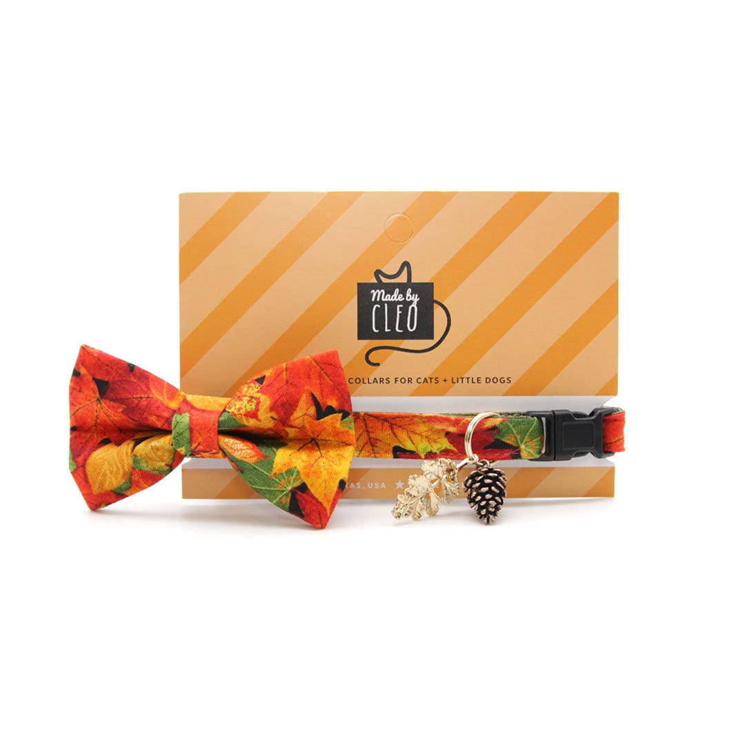 Pet Bandana - "Forever Fall" - Autumn Leaves Bandana for Cat + Small Dog / Slide-on Bandana / Over-the-Collar (One Size)