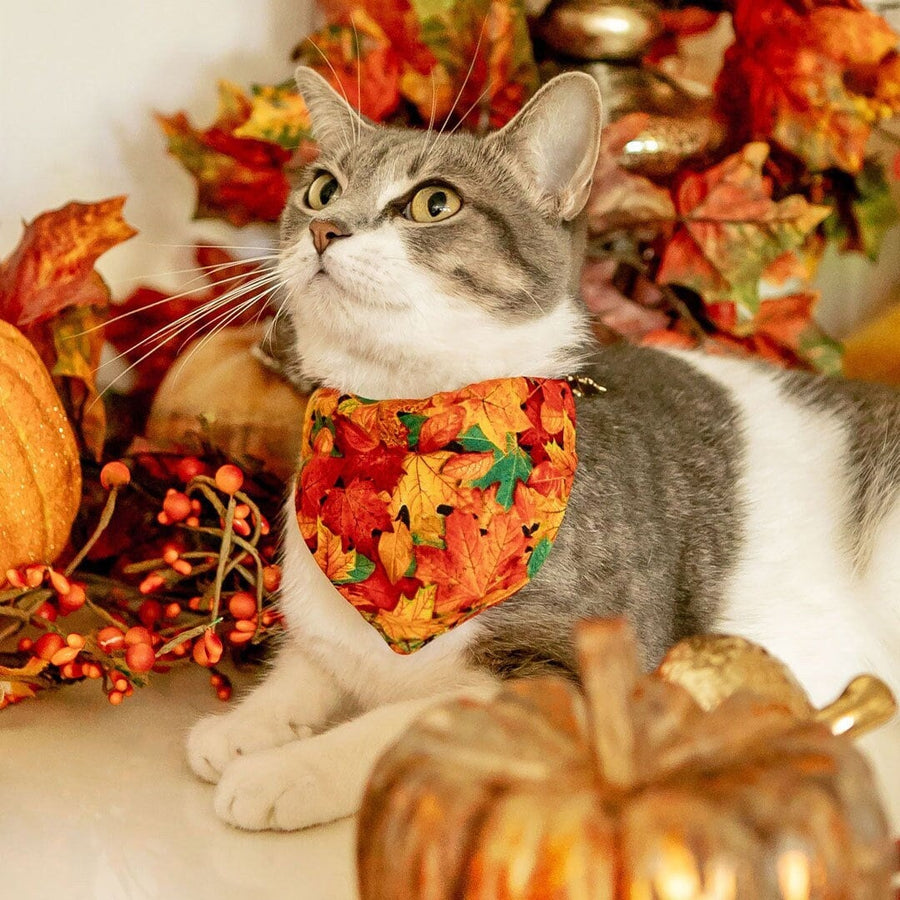 Pet Bandana - "Forever Fall" - Autumn Leaves Bandana for Cat + Small Dog / Slide-on Bandana / Over-the-Collar (One Size)