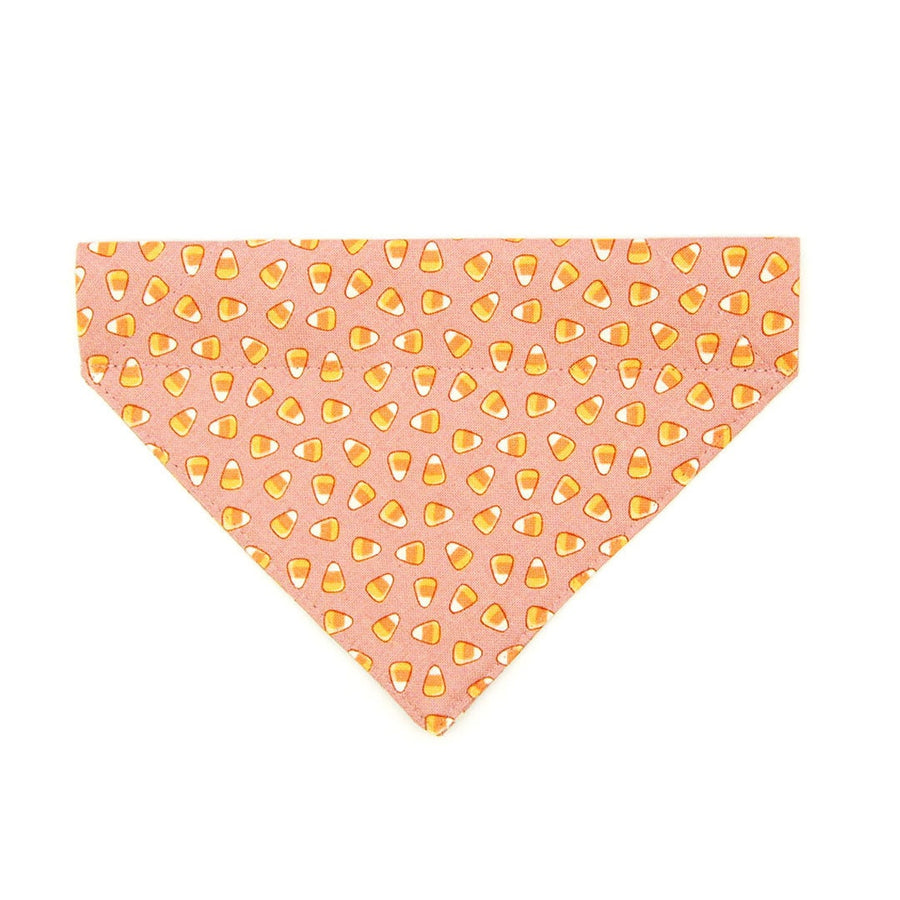 Pet Bandana - "Sweet Tooth" - Halloween Pink Candy Corn Bandana for Cat + Small Dog / Slide-on Bandana / Over-the-Collar (One Size)