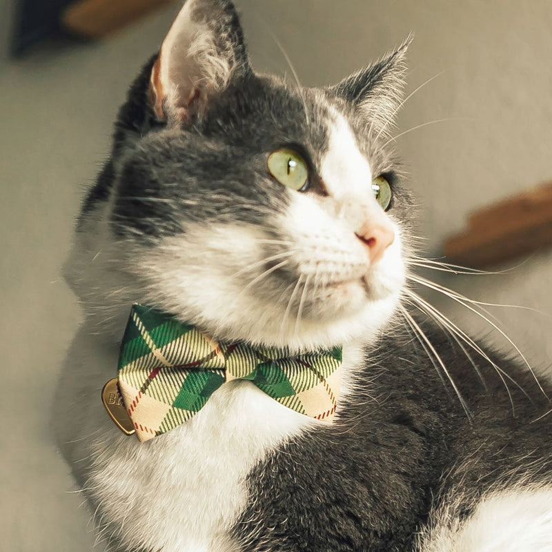 Bow Tie Cat Collar Set - "Linden" - Buttercream + Leaf Green Plaid Cat Collar w/ Matching Bowtie / Cat, Kitten, Small Dog Sizes