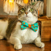 Bow Tie Cat Collar Set - "Party Pumpkins" - Trick-or-Treat Jackolantern Cat Collar w/ Matching Bowtie / Halloween / Cat, Kitten, Small Dog Sizes