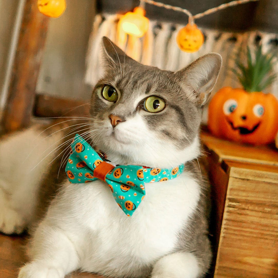 Bow Tie Cat Collar Set - "Party Pumpkins" - Trick-or-Treat Jackolantern Cat Collar w/ Matching Bowtie / Halloween / Cat, Kitten, Small Dog Sizes