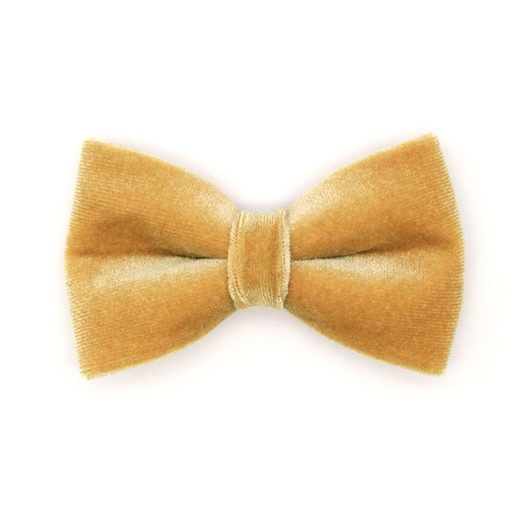 Bow Tie Cat Collar Set - "Velvet - Caramel" - Light Brown Sugar Gold Velvet Cat Collar w/ Matching Bowtie / Cat, Kitten, Small Dog Sizes