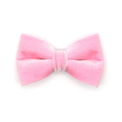 Bow Tie Cat Collar Set - "Velvet - Candy Pink" - Carnation Pink Velvet Cat Collar w/ Baby Pink Bowtie / Cat, Kitten, Small Dog Sizes