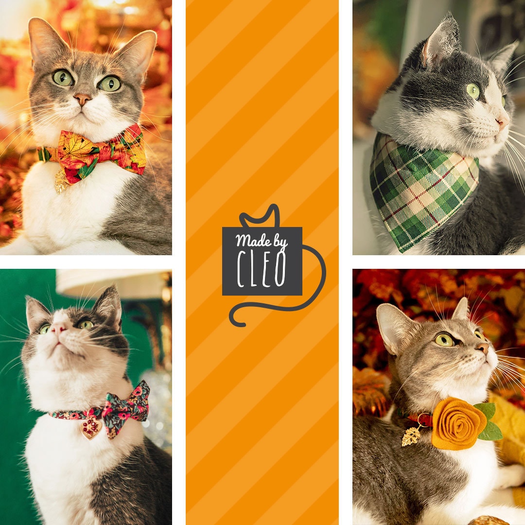Cat Collar + Flower Set - "Dinosaurus Rex" - Colorful Dinosaur Cat Collar w/ Scarlet Red Felt Flower (Detachable)