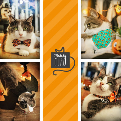 Cat Collar + Flower Set - "Hoots & Hexes" - Black Cats & Owls Halloween Cat Collar w/ Orange Felt Flower (Detachable)