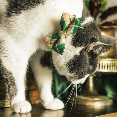 Pet Bow Tie - "Linden" - Buttercream + Leaf Green Plaid Cat Bow Tie / For Cats + Small Dogs (One Size)