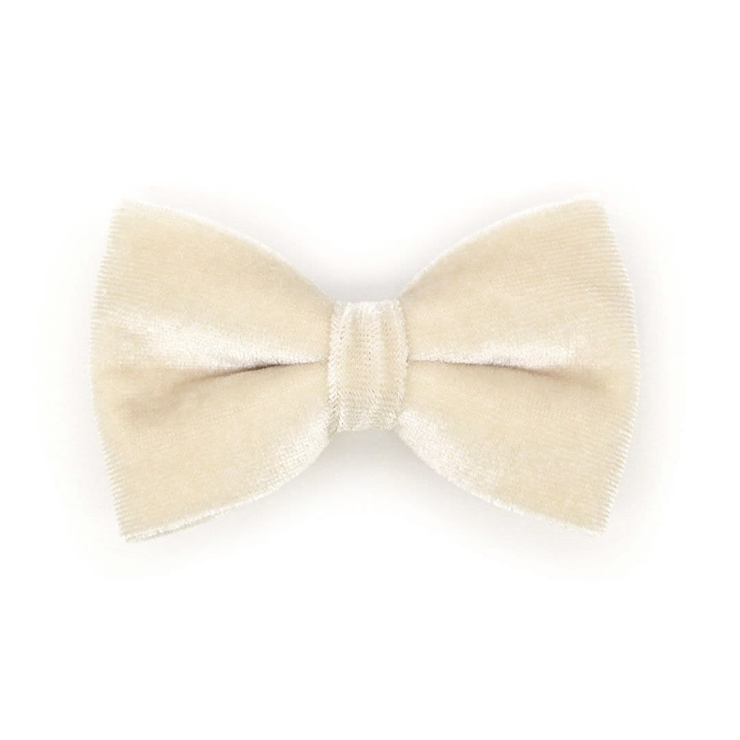 Pet Bow Tie - "Velvet - Chantilly Cream" - Warm Light Beige Velvet Cat Bow Tie / For Cats + Small Dogs (One Size)