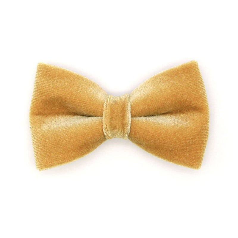 Pet Bow Tie - "Velvet - Caramel" - Light Brown Sugar Gold Velvet Cat Bow Tie / For Cats + Small Dogs (One Size)
