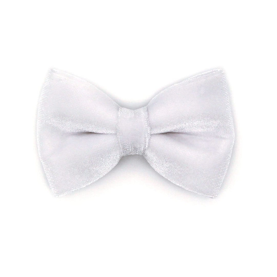 Pet Bow Tie - "Velvet - Snowy White" - Velvet White Bow Tie for Cat / For Cats + Small Dogs (One Size)