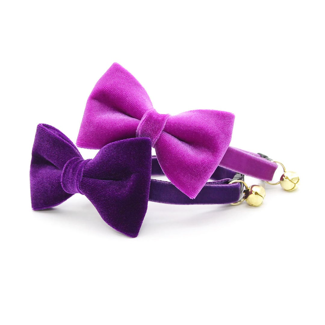 Pet Bow Tie - "Velvet - Orchid" - Magenta Purple Velvet Cat Bow Tie / For Cats + Small Dogs (One Size)