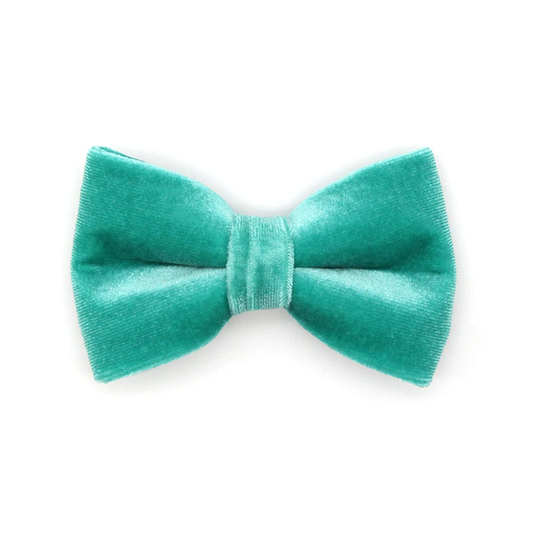 Pet Bow Tie - "Velvet - Seafoam" - Light Turquoise Velvet Cat Bow Tie / For Cats + Small Dogs (One Size)