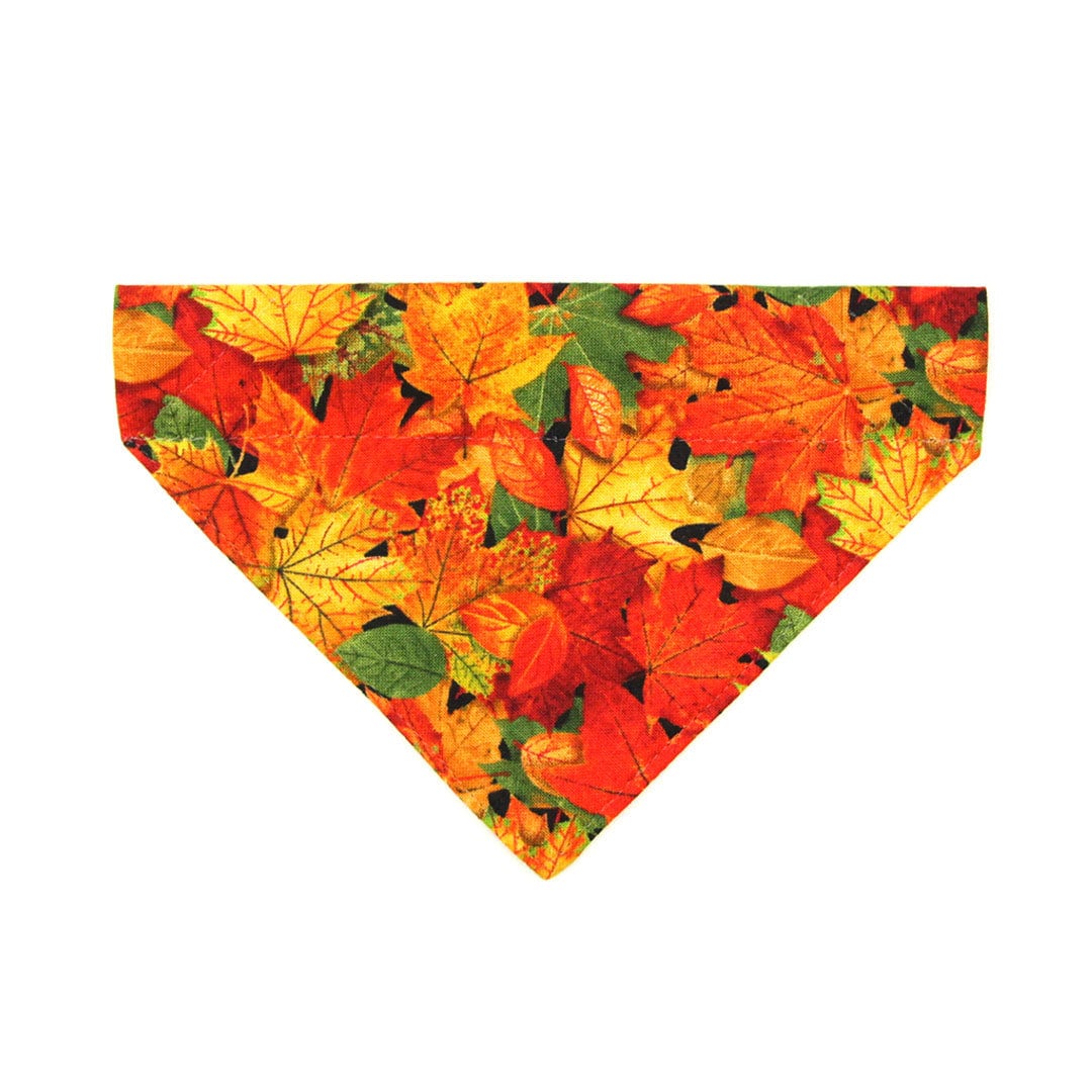 Pet Bandana - "Forever Fall" - Autumn Leaves Bandana for Cat + Small Dog / Slide-on Bandana / Over-the-Collar (One Size)