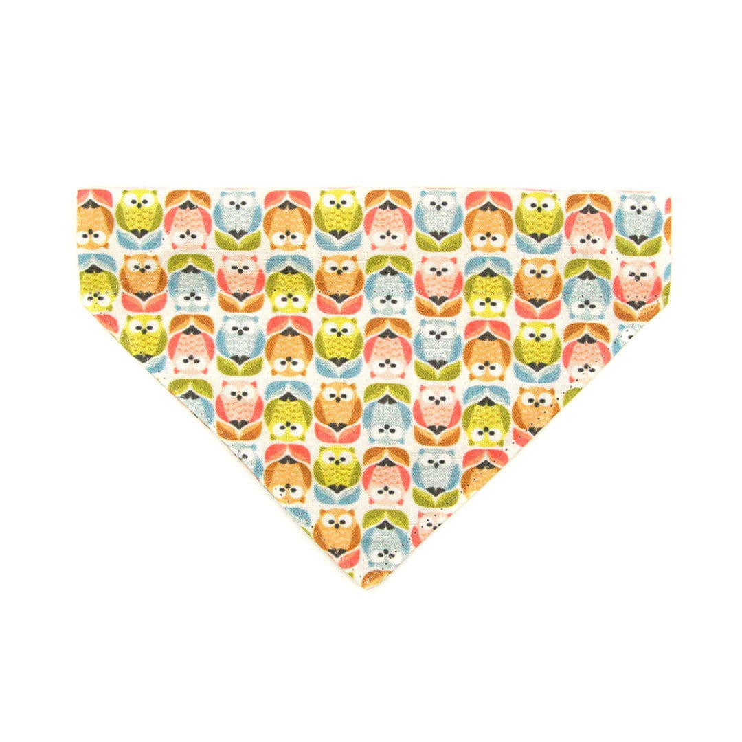Pet Bandana - "Feathered Friends" - Owl Bandana for Cat + Small Dog / Slide-on Bandana / Over-the-Collar (One Size)