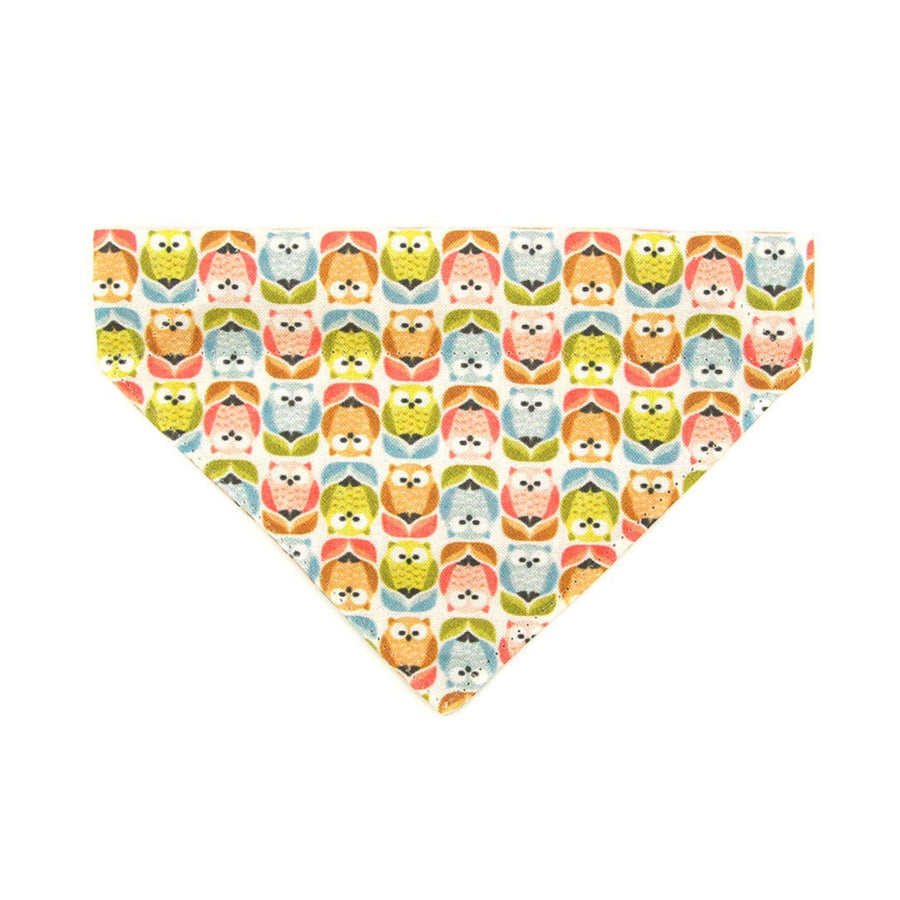 Pet Bandana - "Feathered Friends" - Owl Bandana for Cat + Small Dog / Slide-on Bandana / Over-the-Collar (One Size)