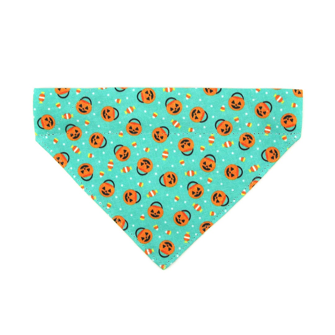 Pet Bandana - "Party Pumpkins" - Halloween Trick or Treat Jackolantern Bandana for Cat + Small Dog / Slide-on Bandana / Over-the-Collar (One Size)