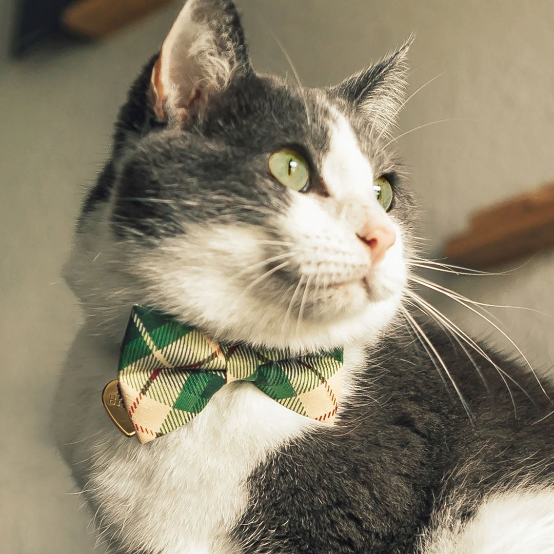 Cat Collar - "Linden" - Buttercream + Leaf Green Plaid Cat Collar / Breakaway Buckle or Non-Breakaway / Cat, Kitten + Small Dog Sizes