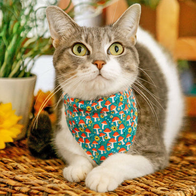 Cat Collar - "Magic Mushrooms" - Blue & Red Fairy Toadstool Cat Collar / Breakaway Buckle or Non-Breakaway / Cat, Kitten + Small Dog Sizes