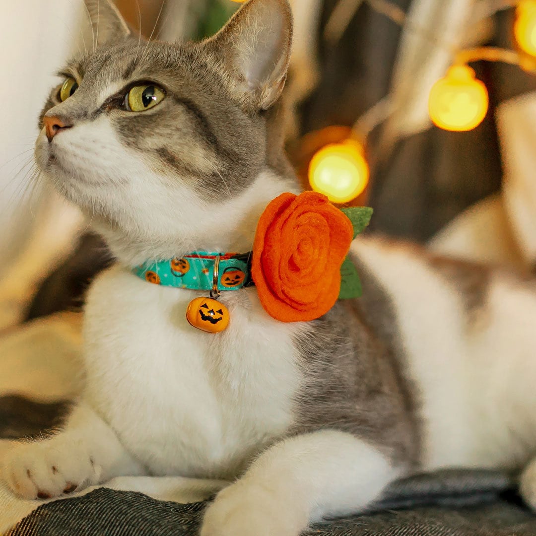 Halloween Cat Collar - "Party Pumpkins" - Trick-or-Treat Jackolantern Cat Collar / Breakaway Buckle or Non-Breakaway / Cat, Kitten + Small Dog Sizes