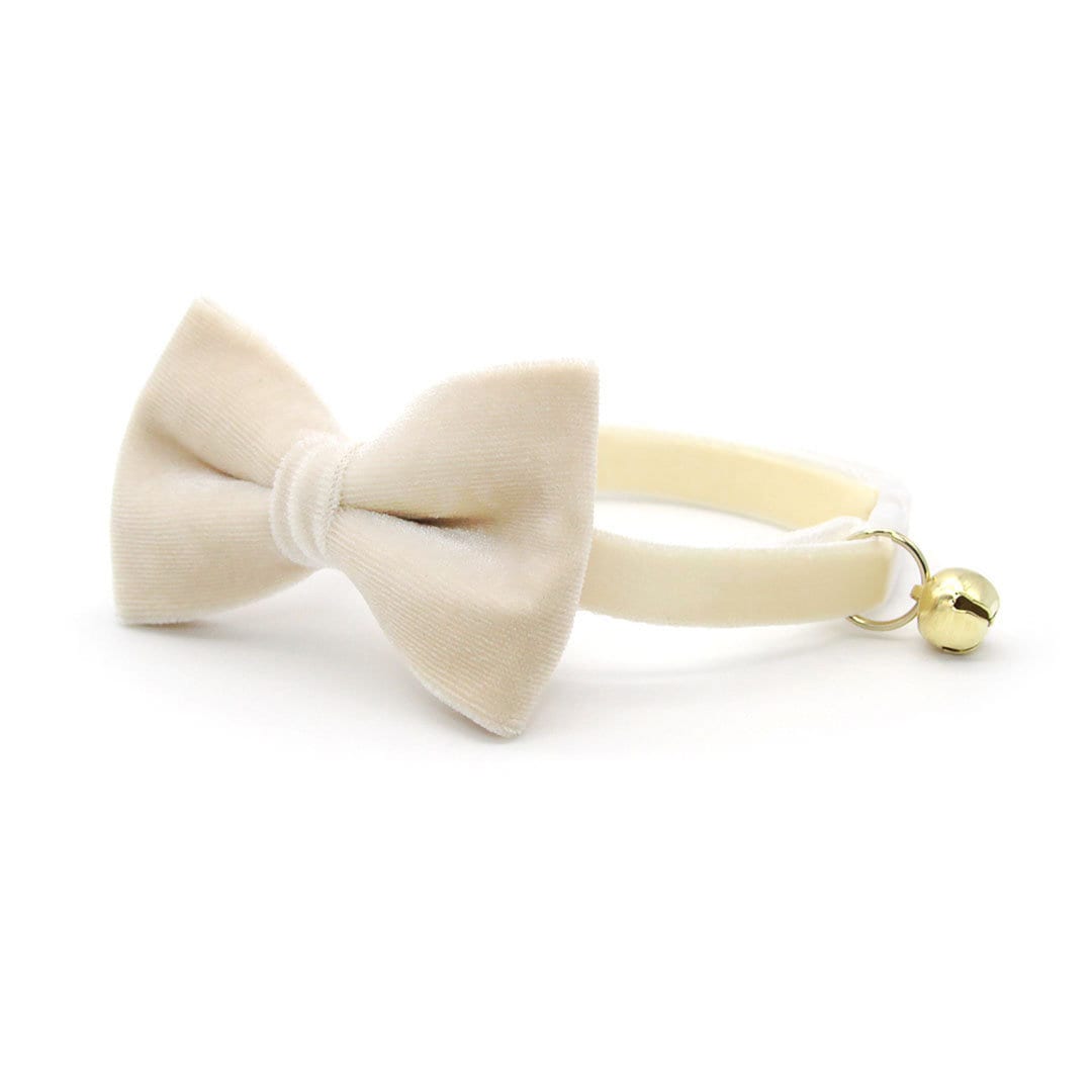 Cat Collar - "Velvet - Chantilly Cream" - Light Beige Ivory Velvet Cat Collar / Breakaway Buckle or Non-Breakaway / Cat, Kitten + Small Dog Sizes