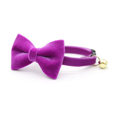 Cat Collar - "Velvet - Orchid" - Magenta Purple Velvet Cat Collar / Breakaway Buckle or Non-Breakaway / Cat, Kitten + Small Dog Sizes