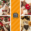 Bow Tie Cat Collar Set - "Merry Stripes" - Rifle Paper Co® Christmas Festive Striped Cat Collar w/ Matching Bowtie / Holiday / Cat, Kitten, Small Dog Sizes