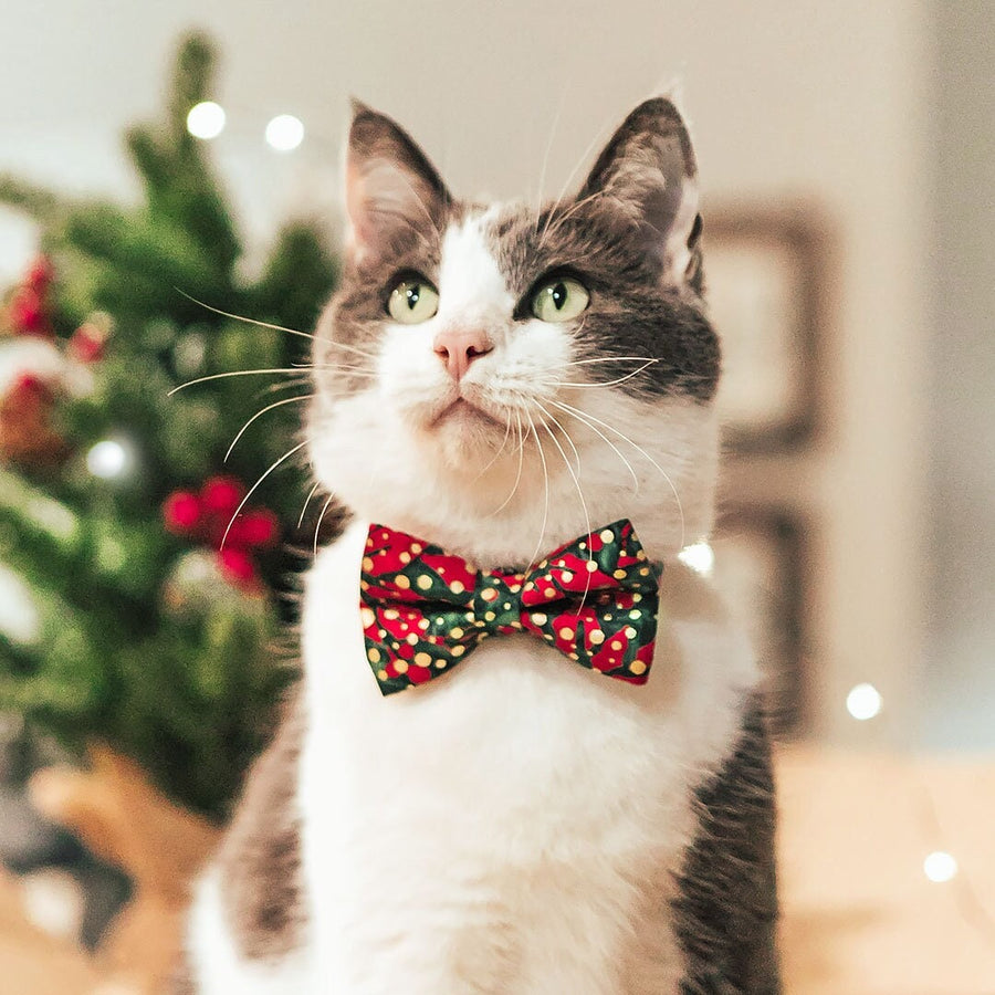 Bow Tie Cat Collar Set - "Joy" - Christmas Red Green & Gold Dot Cat Collar w/ Matching Bowtie / Holiday / Cat, Kitten, Small Dog Sizes