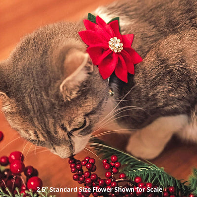 Cat Collar + Flower Set - "Fireside" - Red & Green Holiday Plaid Cat Collar + Specialty Christmas Red Poinsettia Felt Flower (Detachable)