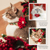 Cat Collar + Flower Set - "Rustic Christmas" - Pine, Berries & Poinsettia Holiday Cat Collar + Specialty Christmas Red Poinsettia Felt Flower (Detachable)