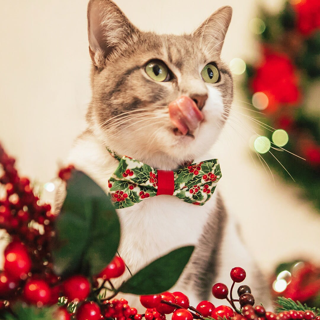 Christmas Cat Collar - "Holiday Holly" - Red Berries & Green Cat Collar / Breakaway Buckle or Non-Breakaway / Cat, Kitten + Small Dog Sizes