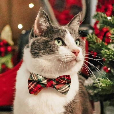 Pet Bow Tie - "Birchwood" - Christmas Red & Green Plaid Cat Bow Tie / Holiday / For Cats + Small Dogs (One Size)