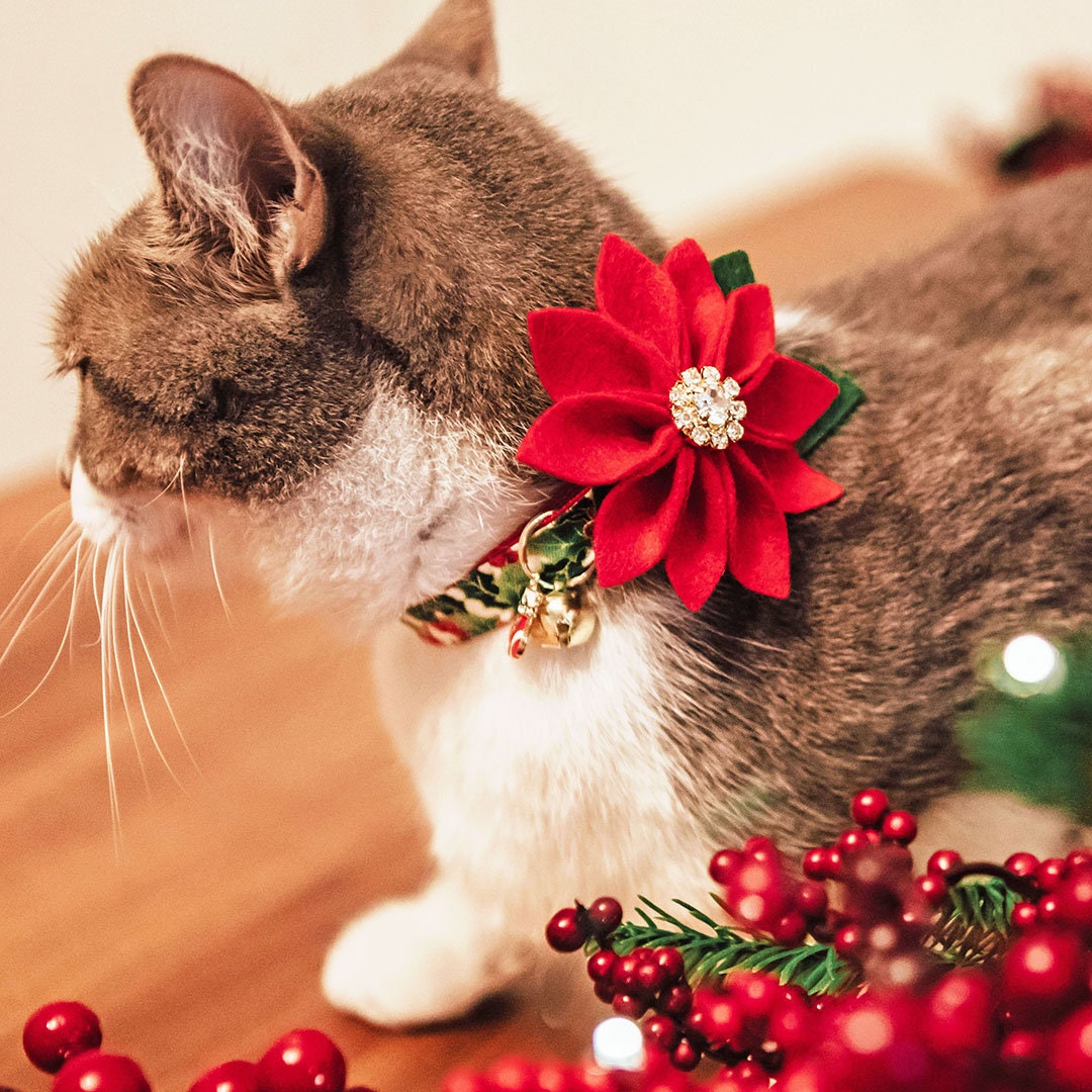 Cat Collar + Flower Set - "Holiday Holly" - Christmas Red Berries & Green Cat Collar + Specialty Christmas Red Poinsettia Felt Flower (Detachable)