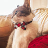 Bow Tie Cat Collar Set - "Chalk It Up To Love" - Black, White & Red Heart Cat Collar w/ Matching Bowtie / Valentine's Day / Cat, Kitten, Small Dog Sizes