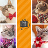 Cat Collar + Flower Set - "Modern Love" - Candy Hearts on Red Cat Collar + Scarlet Red Felt Flower (Detachable) / Valentine's Day