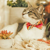 Pet Bow Tie - "Sun Goddess" - Boho Pink Cat Bow Tie / Desert Chic, Bohemian, Tribal / Spring + Summer / For Cats + Small Dogs (One Size)
