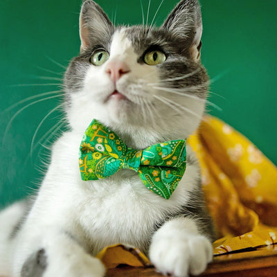 Pet Bow Tie - "Oasis" - Paisley Green Cat Bow Tie / Retro 60s Vibes / Spring + Summer / For Cats + Small Dogs (One Size)