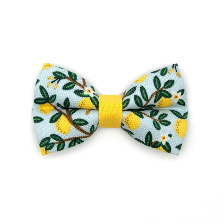 Pet Bow Tie - "Lemon Drops" - Rifle Paper Co® Light Blue w/ Lemons Cat Bow Tie / Spring + Summer / For Cats + Small Dogs (One Size)