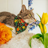 Pet Bandana - "Stevie" - Rifle Paper Co® Black Floral Bandana for Cat + Small Dog / Garden Lover, Spring, Summer / Slide-on Bandana / Over-the-Collar (One Size)