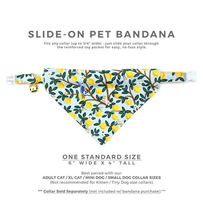 Pet Bandana - "Lemon Drops" - Rifle Paper Co® Light Blue & Lemon Bandana for Cat + Small Dog / Spring + Summer / Slide-on Bandana / Over-the-Collar (One Size)
