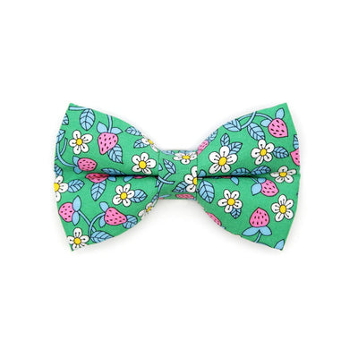 Bow Tie Cat Collar Set - "Wild Strawberry - Mint" - Liberty of London® Floral Cat Collar w/ Matching Bowtie / Cat, Kitten, Small Dog Sizes