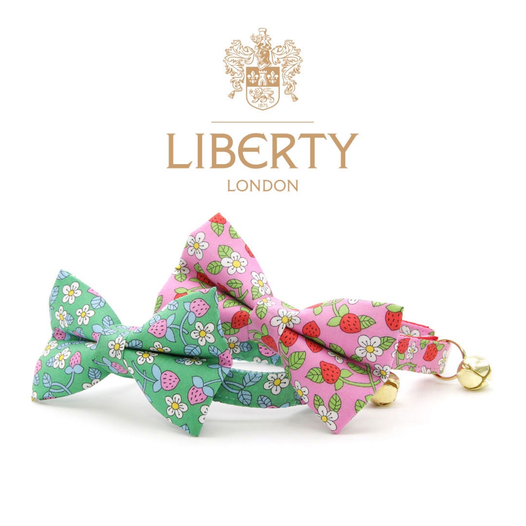 Cat Collar + Flower Set - "Wild Strawberry - Pink" - Liberty of London® Floral Cat Collar w/ Scarlet Red Felt Flower (Detachable)