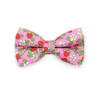 Pet Bow Tie - "Wild Strawberry - Pink" - Liberty of London® Berry Floral Cat Bow Tie / Spring + Summer / For Cats + Small Dogs (One Size)