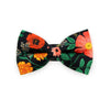 Pet Bow Tie - "Stevie" - Rifle Paper Co® Black Floral Cat Bow Tie / Garden Lover Gift / Spring + Summer / For Cats + Small Dogs (One Size)