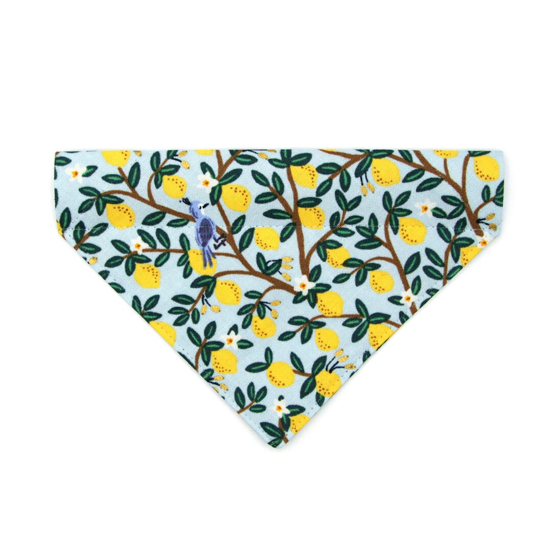 Pet Bandana - "Lemon Drops" - Rifle Paper Co® Light Blue & Lemon Bandana for Cat + Small Dog / Spring + Summer / Slide-on Bandana / Over-the-Collar (One Size)