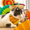 Pet Bandana - "Saffron" - Yellow Party Striped Bandana for Cat + Small Dog / Birthday, Cinco de Mayo / Slide-on Bandana / Over-the-Collar (One Size)