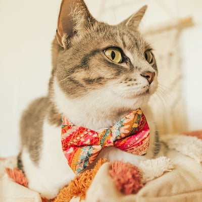 Bow Tie Cat Collar Set - "Sun Goddess" - Boho Pink Cat Collar w/ Matching Bowtie / Cat, Kitten, Small Dog Sizes
