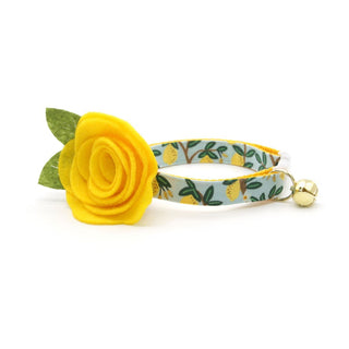 Cat Collar + Flower Set - "Lemon Drops" - Rifle Paper Co® Light Blue Cat Collar w/ Buttercup Yellow Felt Flower (Detachable) - Adult Cat (8-13) / Breakaway / Gold